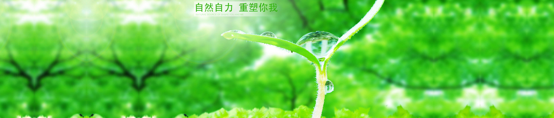 山東勝沃液壓機(jī)械有限公司